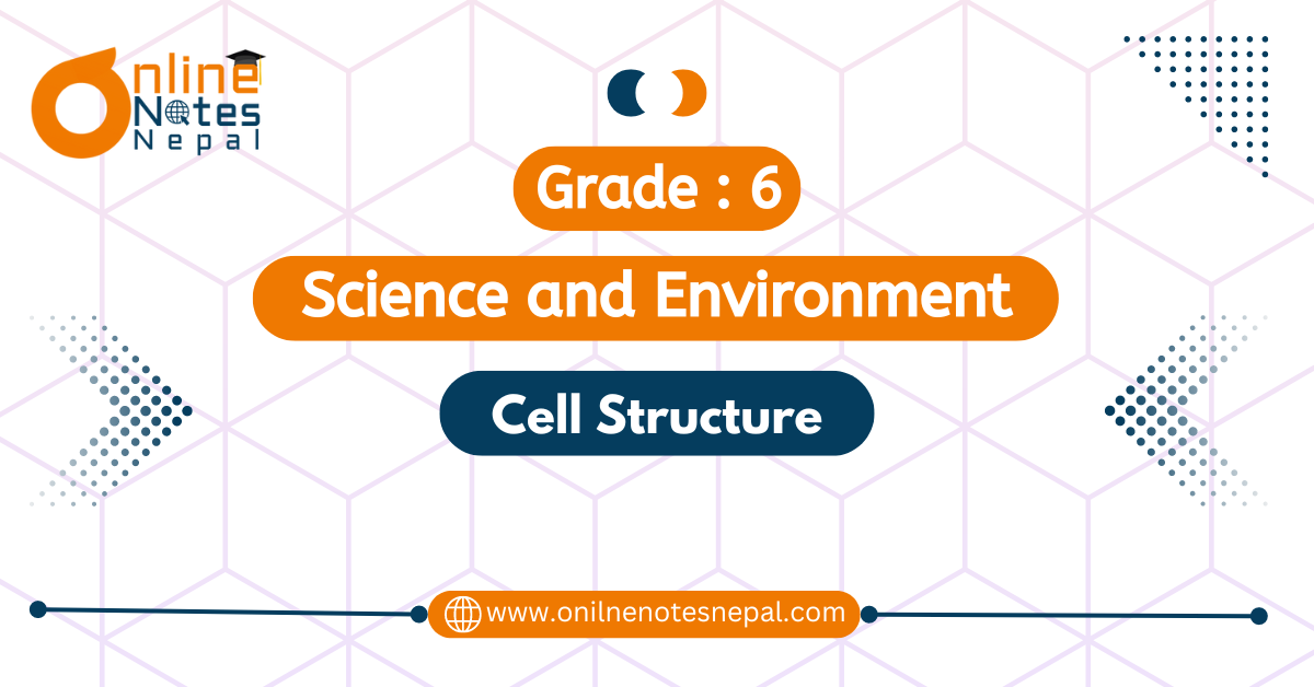 Cell Structure
